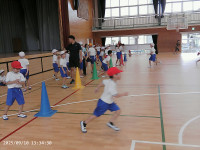 PICA0052