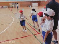 PICA0027