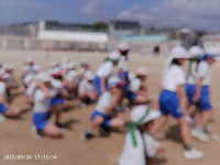 PICA0113