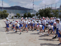 PICA0105