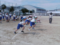 PICA0114