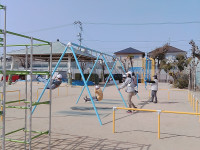 PICA0688