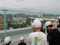 IMGP0608