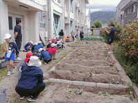 PICA0997