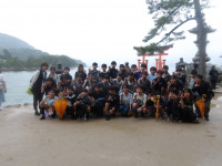 IMGP0367