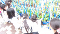 IMGP0008
