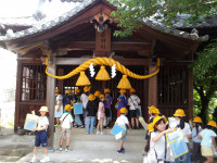 IMGP0482