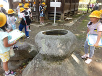 IMGP0495