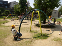 IMGP0499
