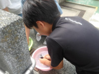IMGP0132