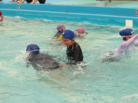 IMGP0161