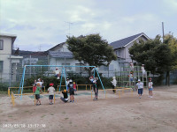 PICA0055