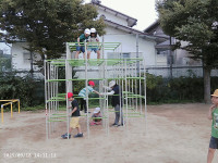 PICA0056