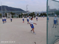 PICA0206