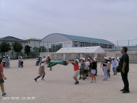 PICA0185
