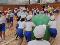 PICA0228