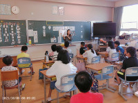 PICA0253