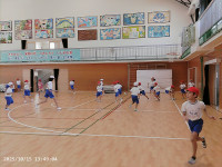 PICA0431