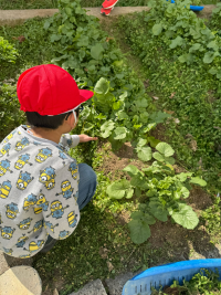 のびのび_せいかつ_瀬戸口　絵美_2026年1月23日のノート_11