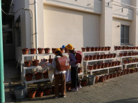 IMGP0500