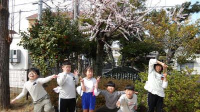 IMGP0991
