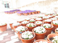 IMGP0030