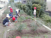 PICA1306