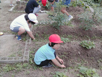 PICA1304