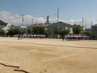 IMGP0038